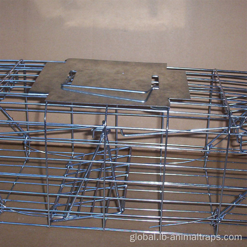 Live Coyote Cage Trap For Outdoors Collapsible Bird Cage Live Coyote Cage Trap Supplier